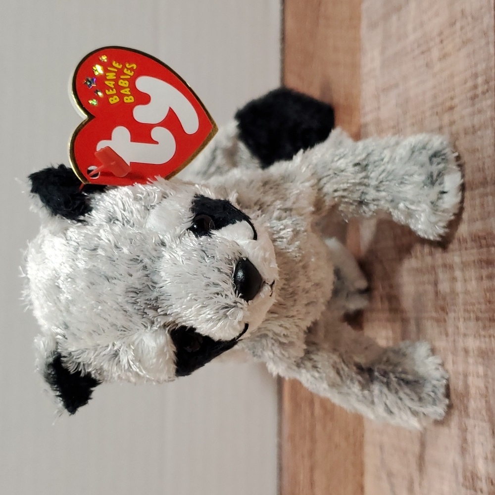 Ty Beanie babies Bandito